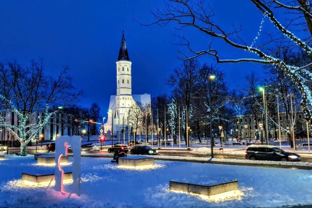 Lyra63 Large 80Sq M Top 14 Floor Šiauliai المظهر الخارجي الصورة